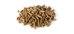 Malto d’orzo in pellet